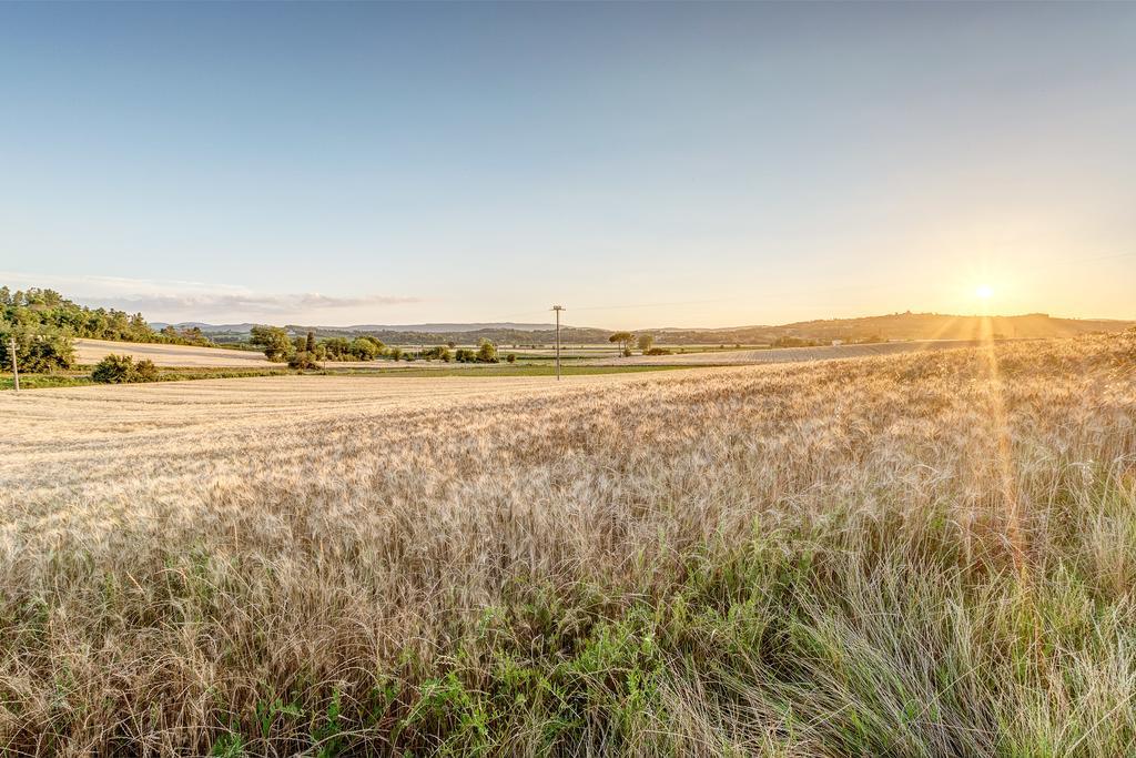 Agriturismo Il Poggiarello Фояно дела Киана Екстериор снимка